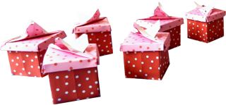 Cadeaudoosjes Cadeaudoosjes