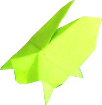 Origami insect