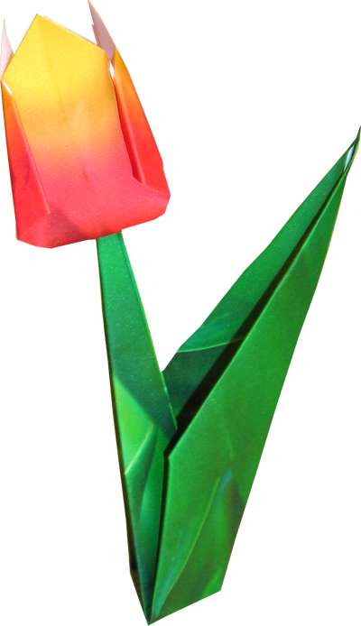 Origami Tulip