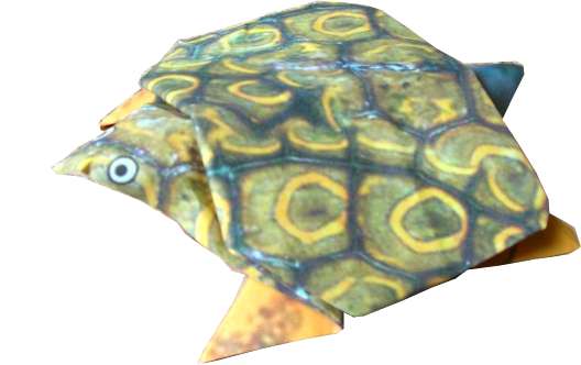 Origami schildpad Origami schildpad