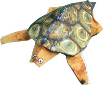 Schildpad Schildpad