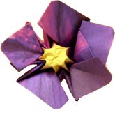 Origami Violet Flower