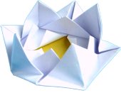 Origami Waterlelie