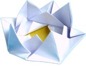 Origami Waterlelie