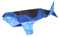 Walvis Walvis