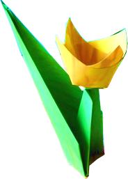 Origami Tulp