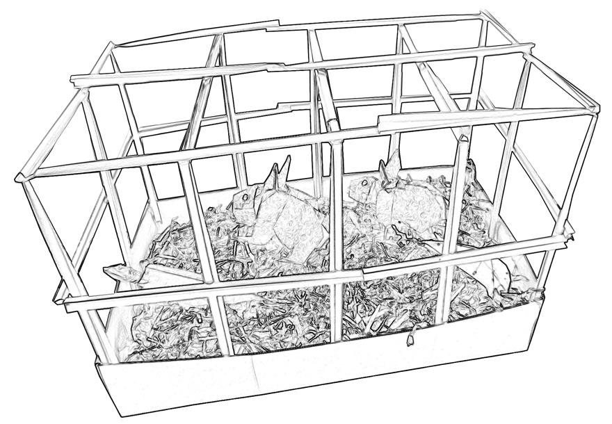 Rabbit cage