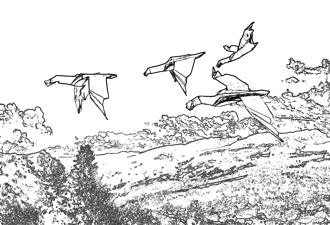 Flying gooses coloring picture