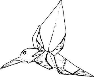 Humming bird coloring picture Humming bird coloring picture