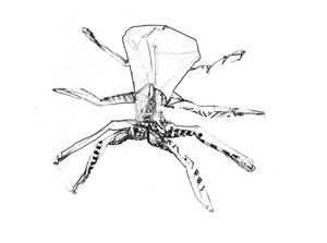 Origami Spider Origami Spider