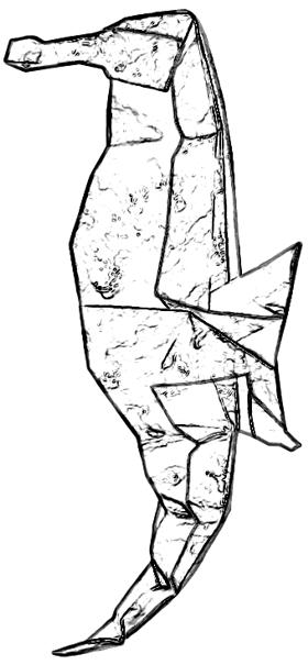 Sea horse coloring picture Sea horse coloring picture