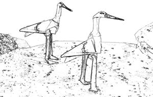 Storks