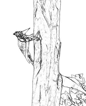 Woodpecker in a tree