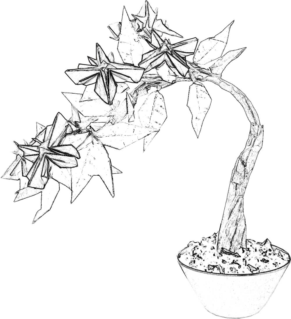 Colouringpicture of a Bonsai Origami flower