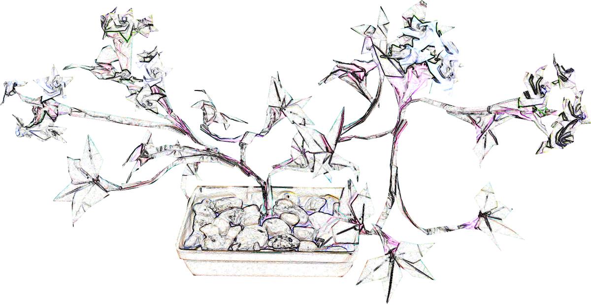 Bonsai Plant Colouring Picture