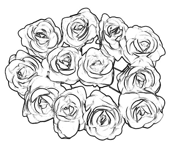 Roses bouquet