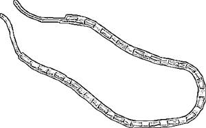Necklace coloring picture Necklace coloring picture