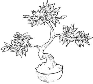 Bonsai tree coloring picture