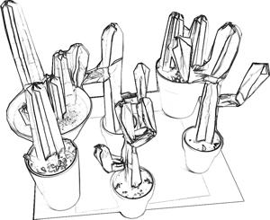 Cactuses in small pots