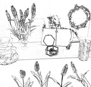 Flowers coloring picture Flowers coloring picture