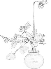 Bonsai flower Bonsai flower