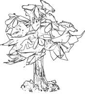 Bonsai tree Bonsai tree
