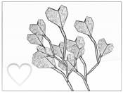 Heart shaped leafs Heart shaped leafs
