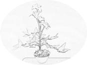 Bonsai flower Bonsai flower