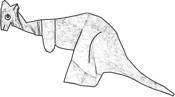 Kangaroo coloring picture Kangaroo coloring picture