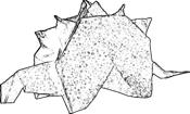 Stegosaurus coloring picture Stegosaurus coloring picture