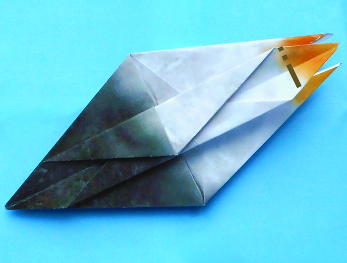 Origami Albatros vouwen