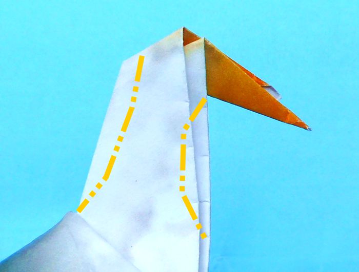 Origami Albatros vouwen