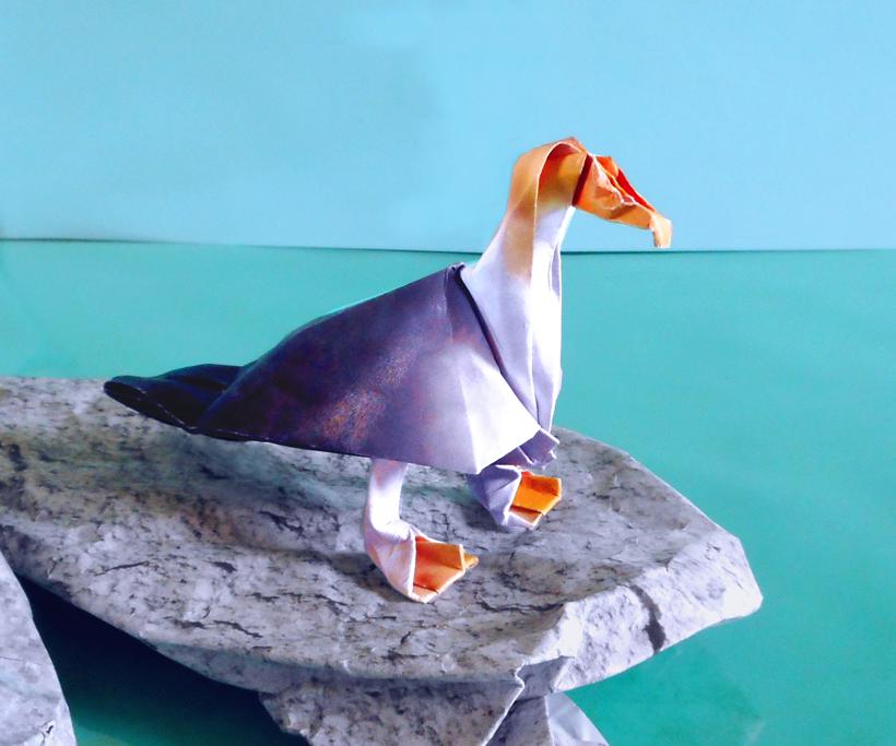 Origami Albatros