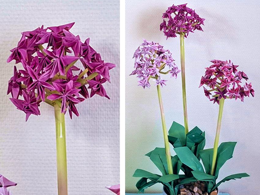 Origami Allium Flower