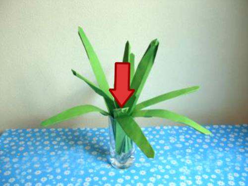 Fold an Origami Amaryllis