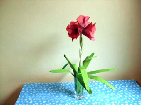 Origami Amaryllis