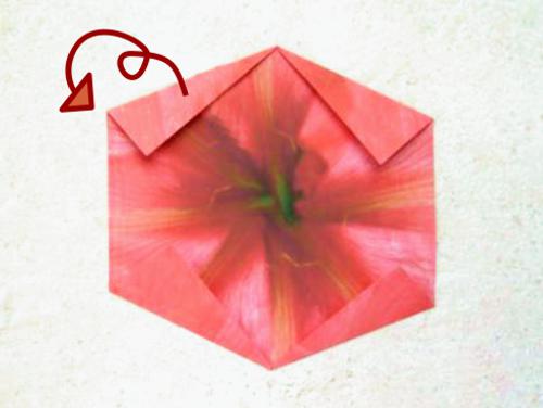 Origami Amaryllis maken