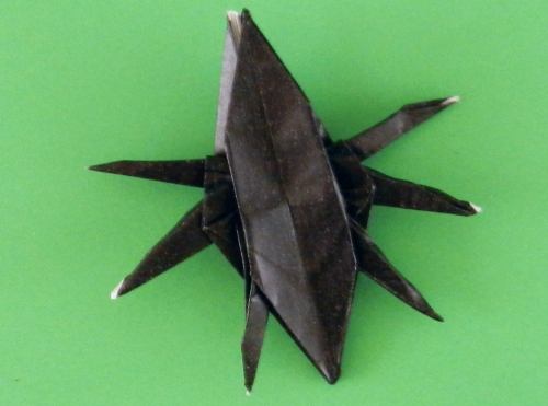 Fold an Origami Ant