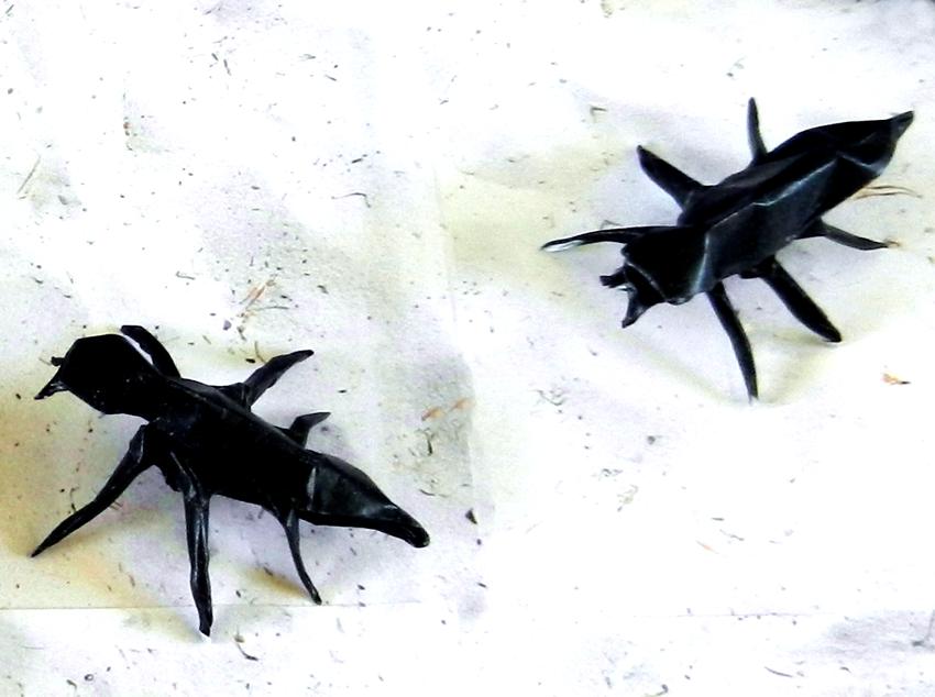 Origami Ants