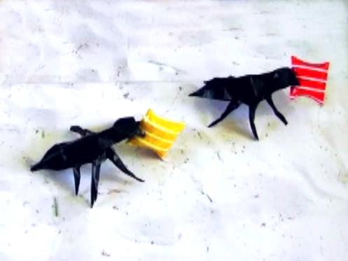 Ants with candy