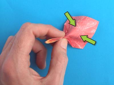 Fold an Origami Anthurium