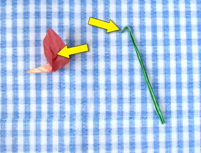 Fold an Origami Anthurium