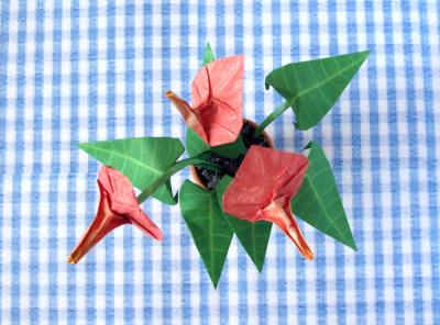 Origami Anthurium
