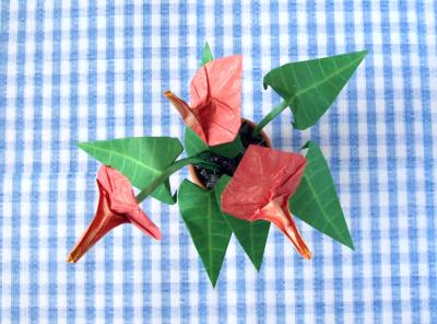 Origami Anthurium Origami Anthurium