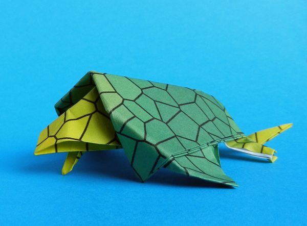 origami Archelon schildpad origami Archelon schildpad