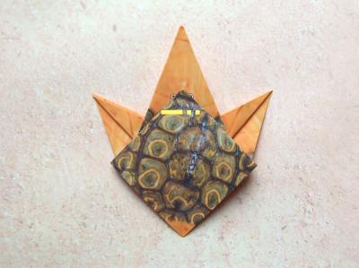 een baby schildpad van papier maken een baby schildpad van papier maken