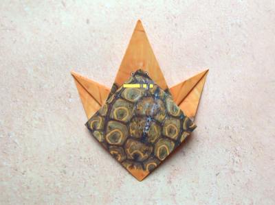 een baby schildpad van papier maken