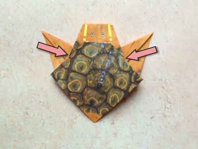 een baby schildpad van papier maken