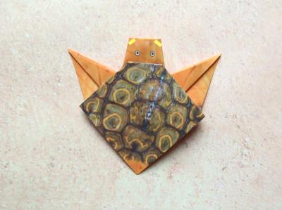 een baby schildpad van papier maken een baby schildpad van papier maken