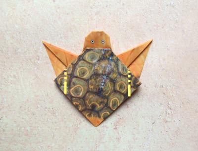 een baby schildpad van papier maken een baby schildpad van papier maken